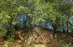 Ex Castello di Montaldo Sca...